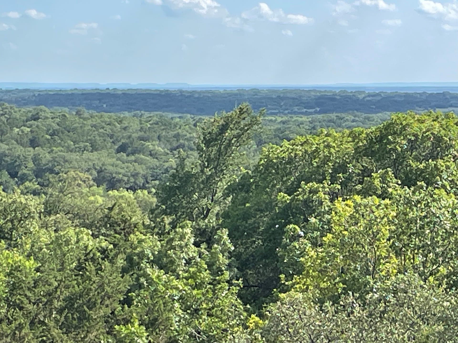 12.52 acres in Eastland County - photo 11