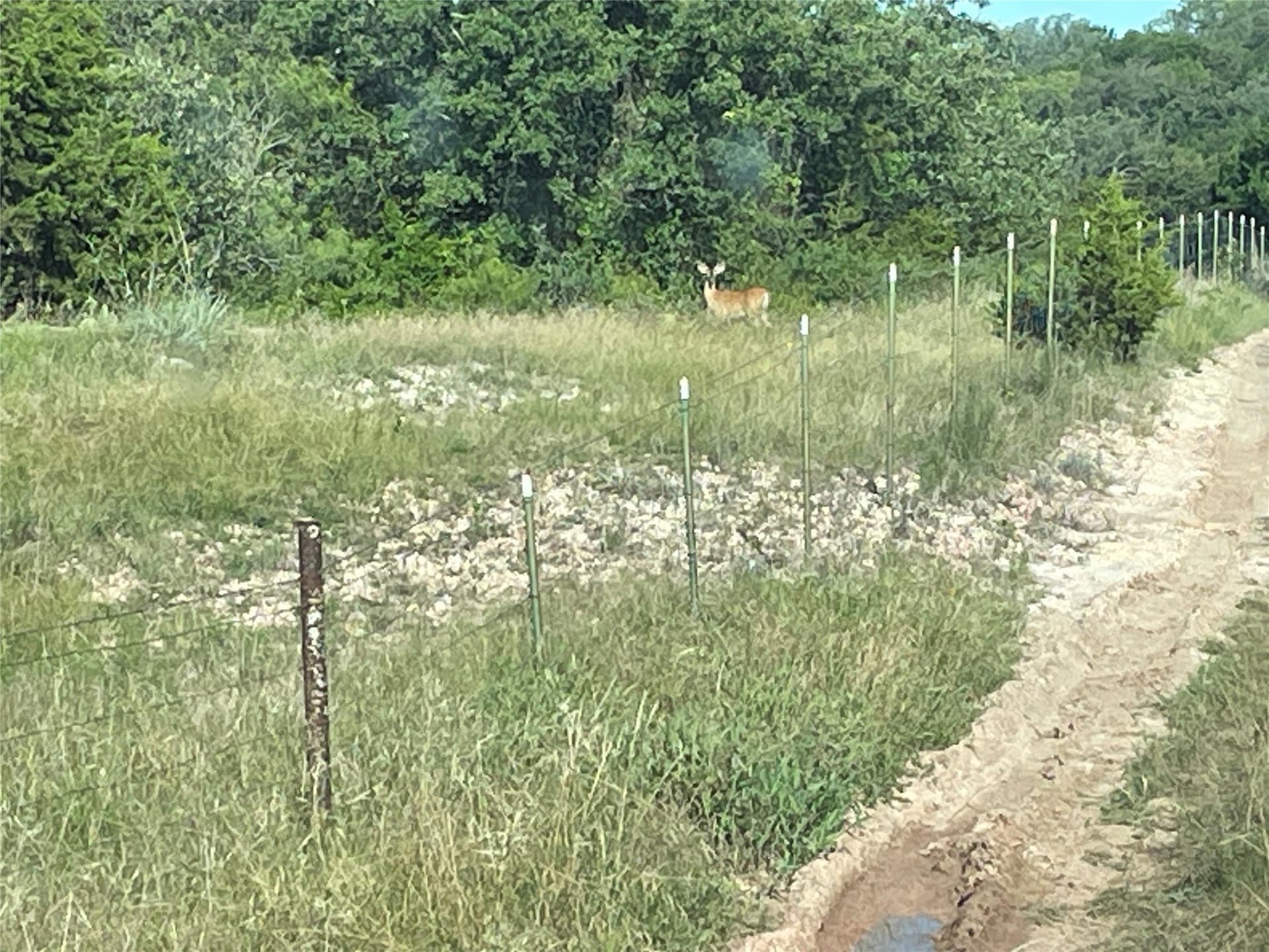 12.52 acres in Eastland County - photo 12