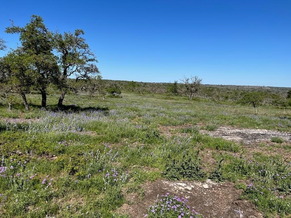 12.2 acres in Gillespie County - photo 6