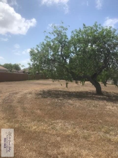 0.29 acres in CAMERON County gallery image 2