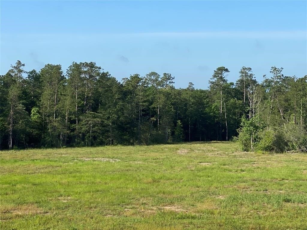 20 acres in Texas County - photo 6