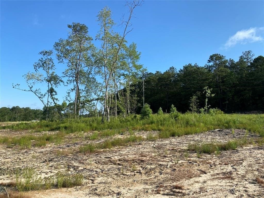 20 acres in Texas County - photo 14