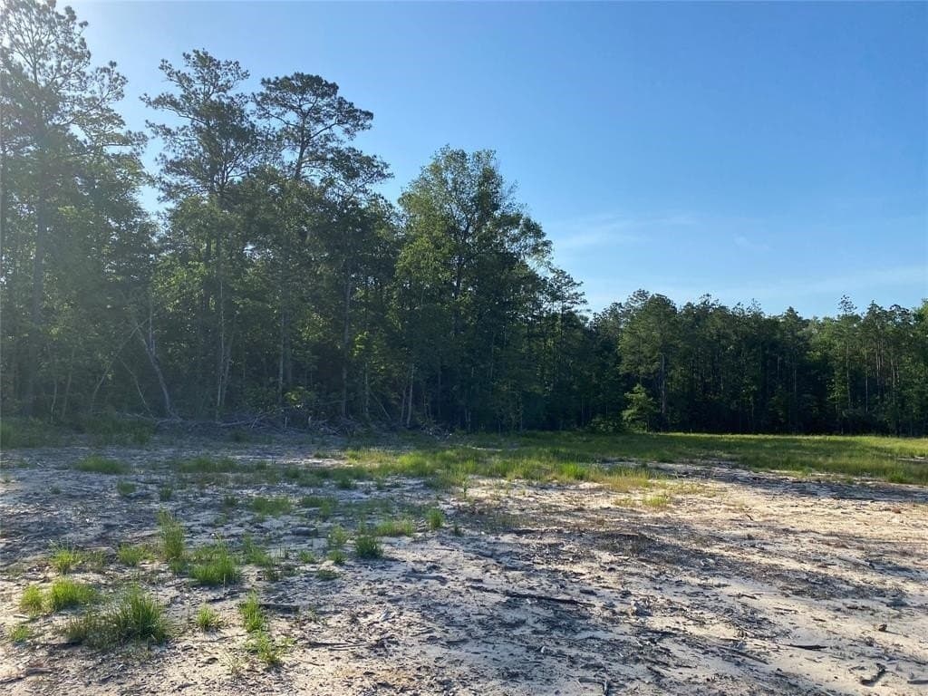 20 acres in Texas County featured view