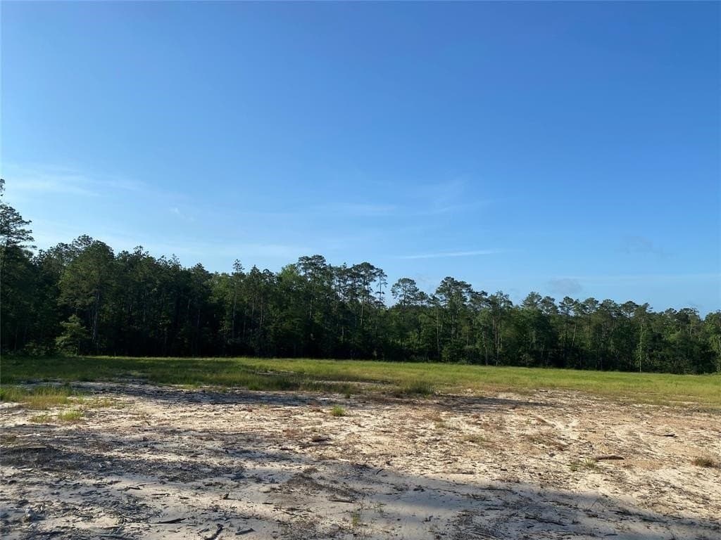 20 acres in Texas County gallery image 4
