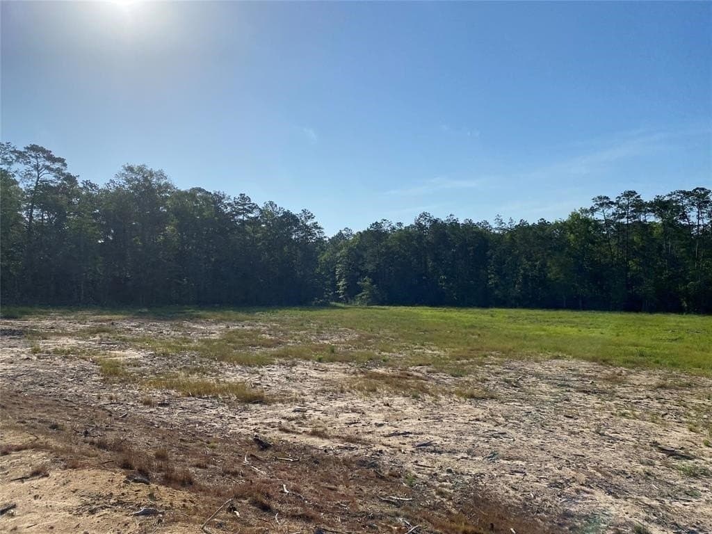 20 acres in Texas County - photo 17
