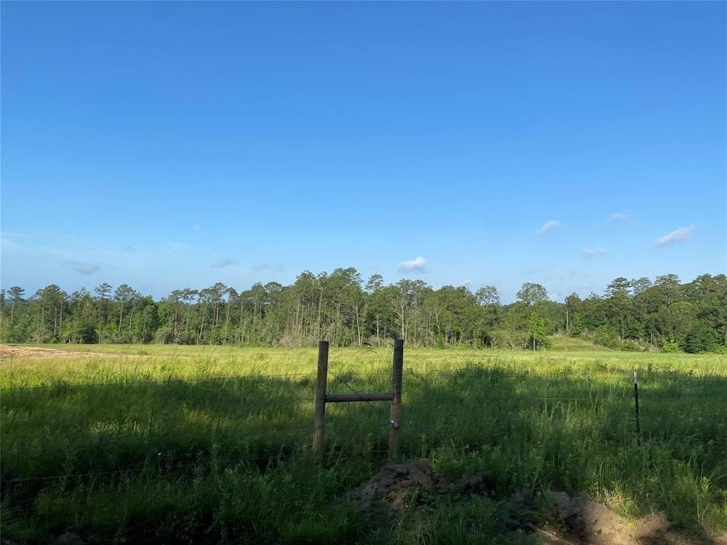 20 acres in Texas County - photo 10