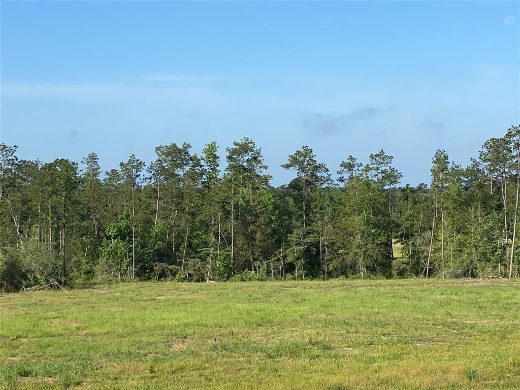 20 acres in Texas County - photo 8