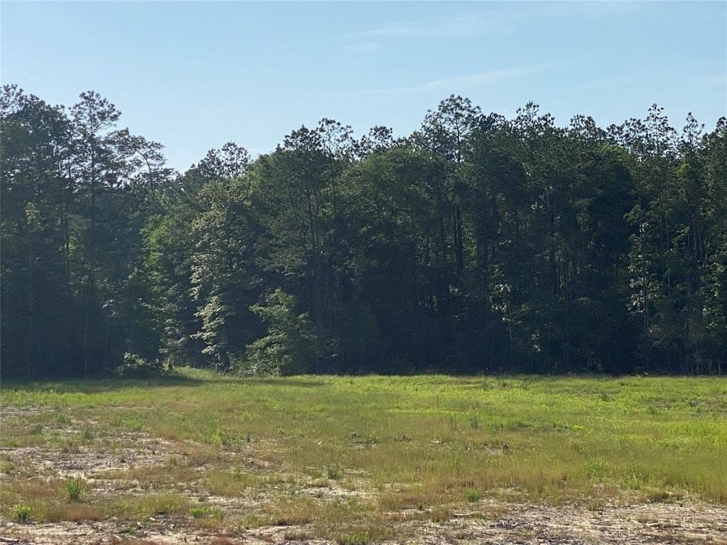 20 acres in Texas County - photo 18