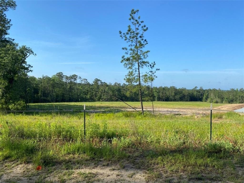 20 acres in Texas County - photo 12
