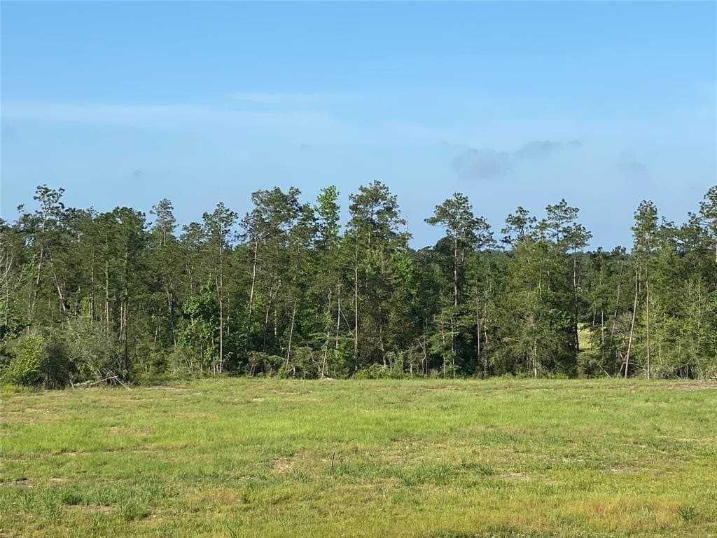 20 acres in Texas County - photo 7