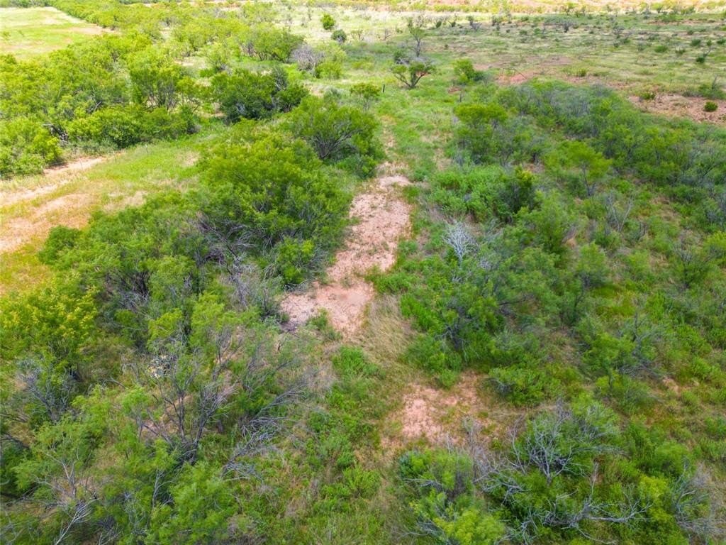 11 acres in Taylor County featured view