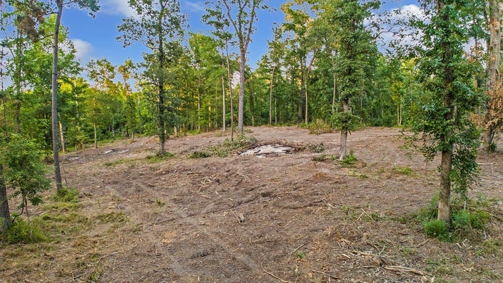 6.1 acres in Texas County - photo 12