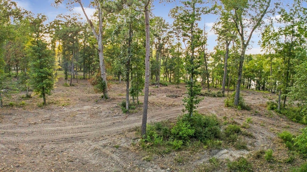 6.1 acres in Texas County - photo 9