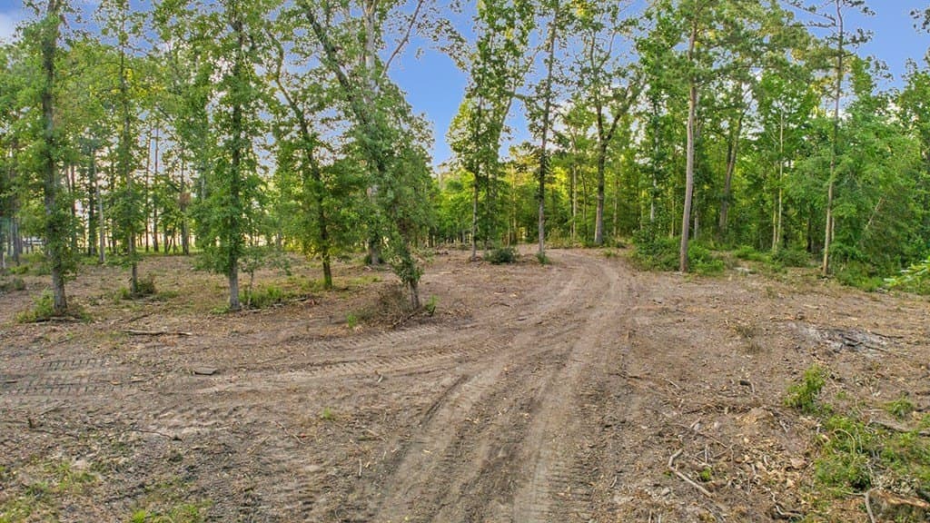 6.1 acres in Texas County - photo 8