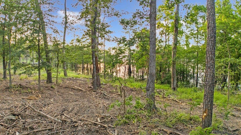 6.1 acres in Texas County - photo 10