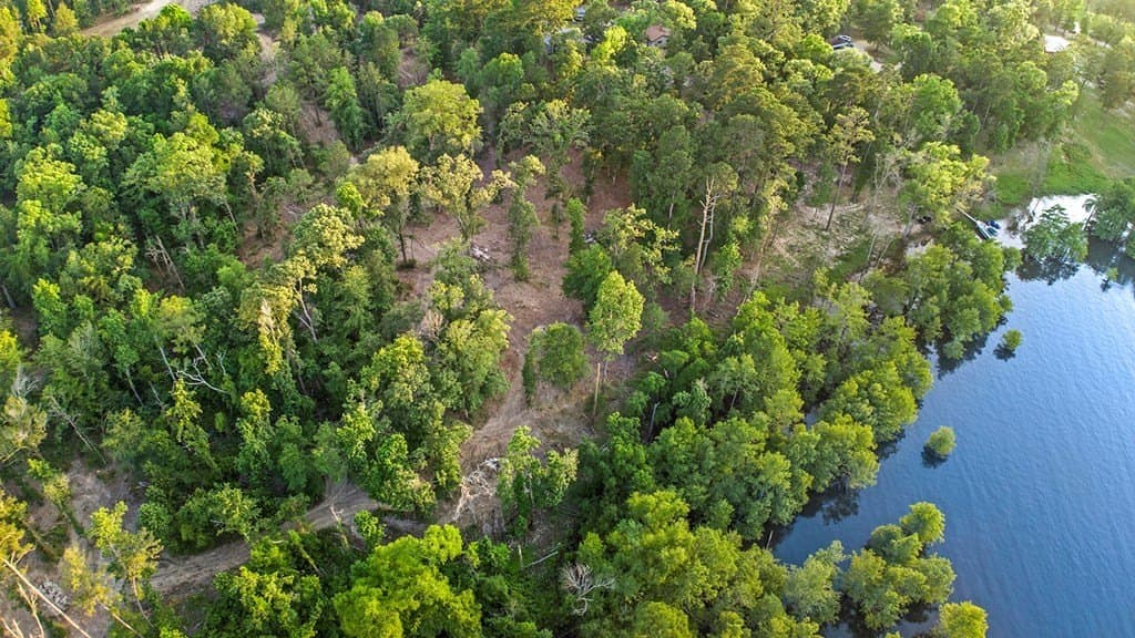 6.1 acres in Texas County - photo 6