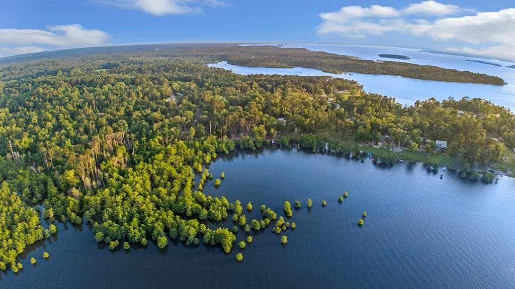 6.1 acres in Texas County - photo 14