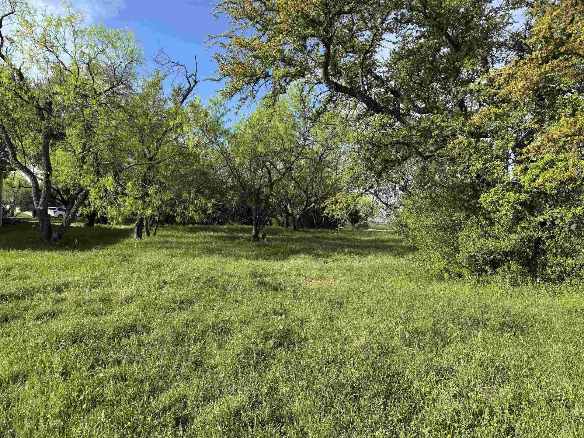 0.37 acres in Llano County - photo 6