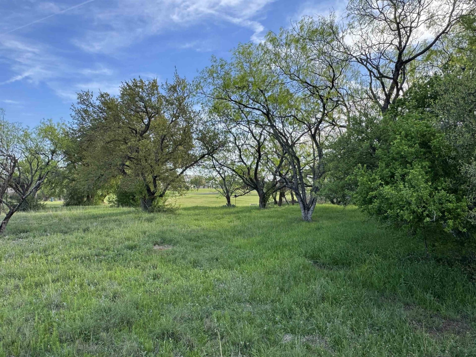 0.37 acres in Llano County gallery image 3