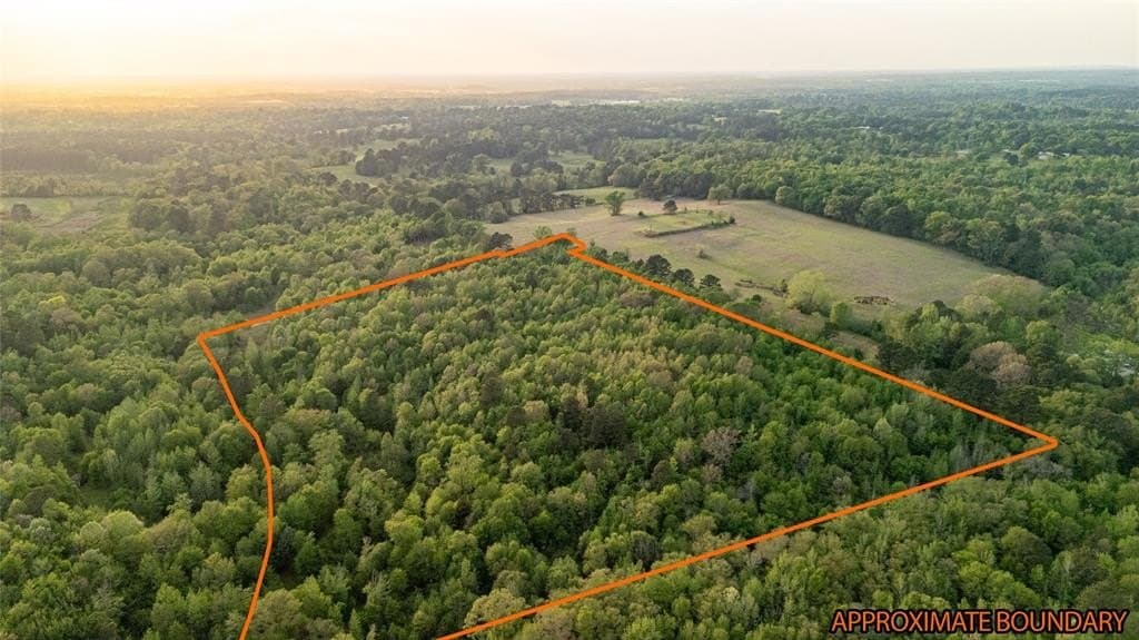 22.5 acres in Smith County gallery image 3