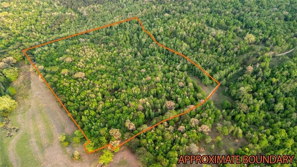 22.5 acres in Smith County gallery image 4