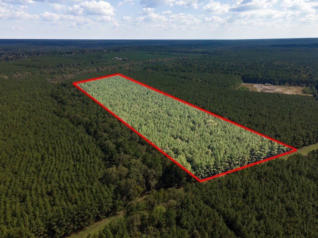 25 acres in Texas County featured view