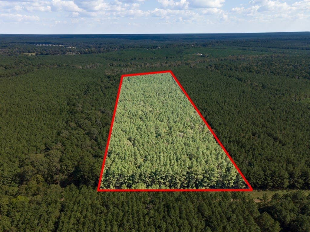 25 acres in Texas County gallery image 4