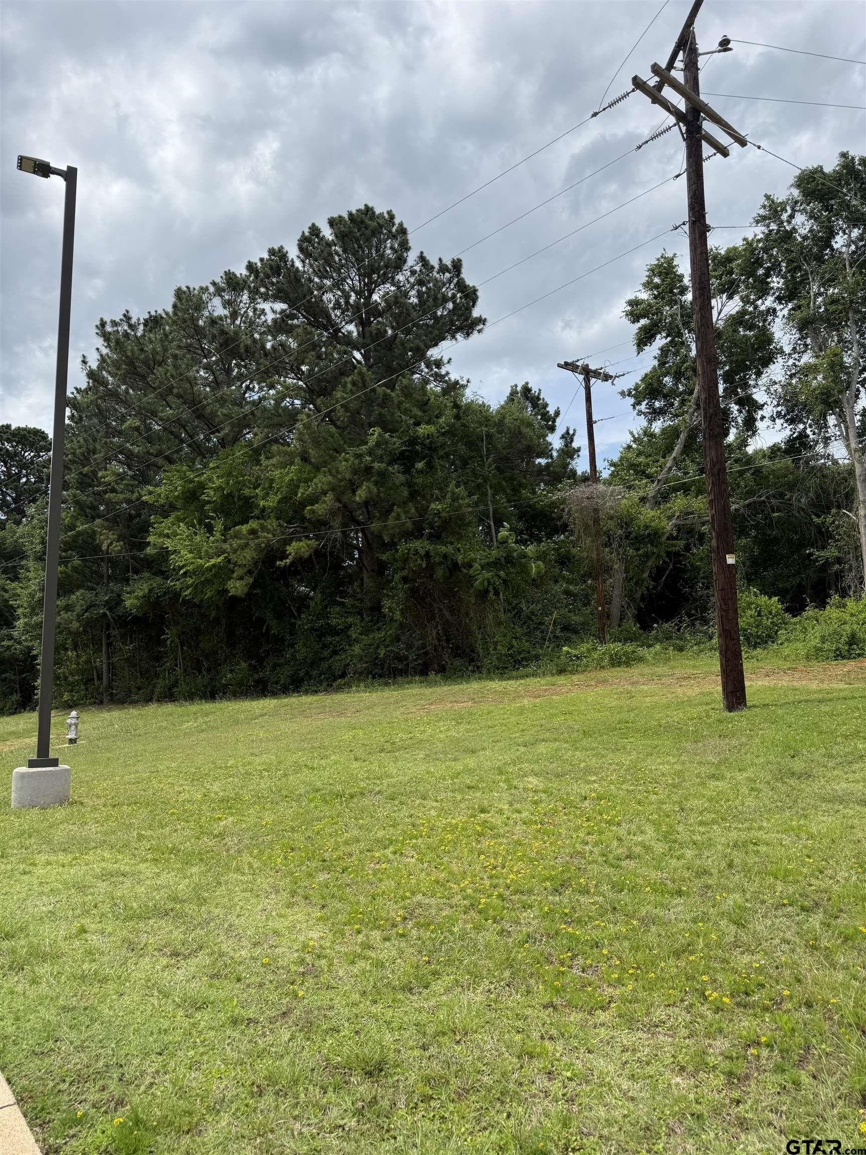0.25 acres in Anderson County gallery image 3