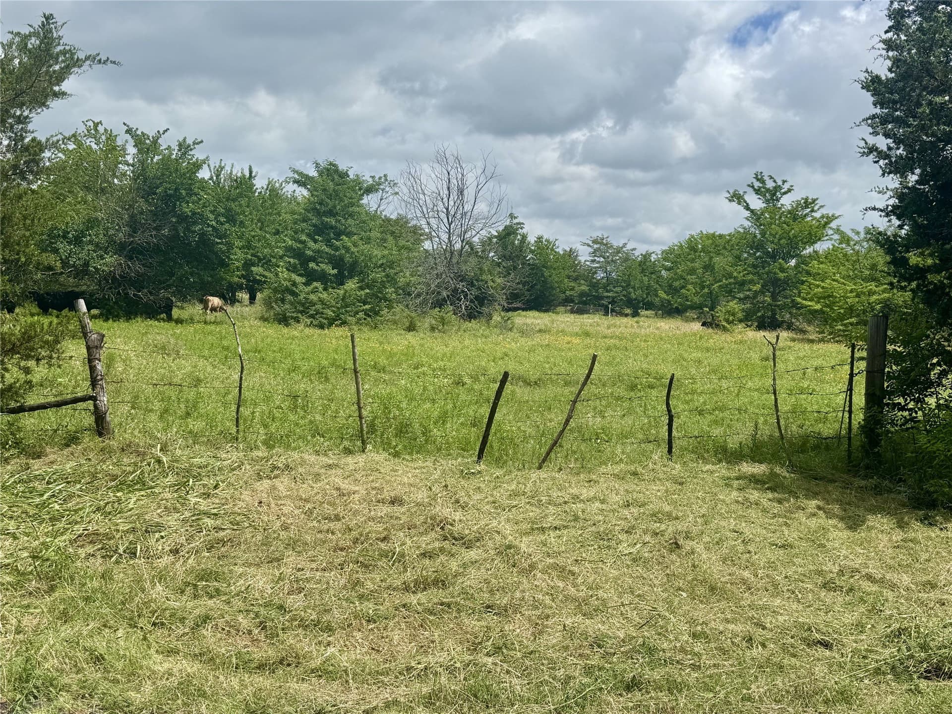 10.13 acres in Hunt County - photo 19