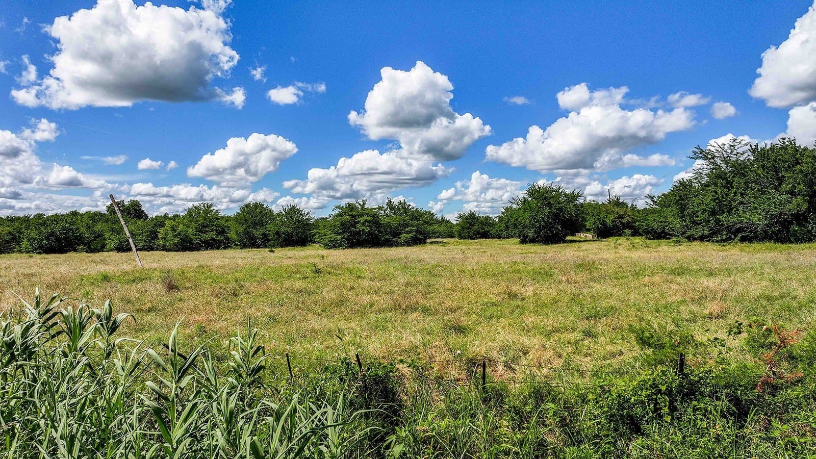10.13 acres in Hunt County - photo 11