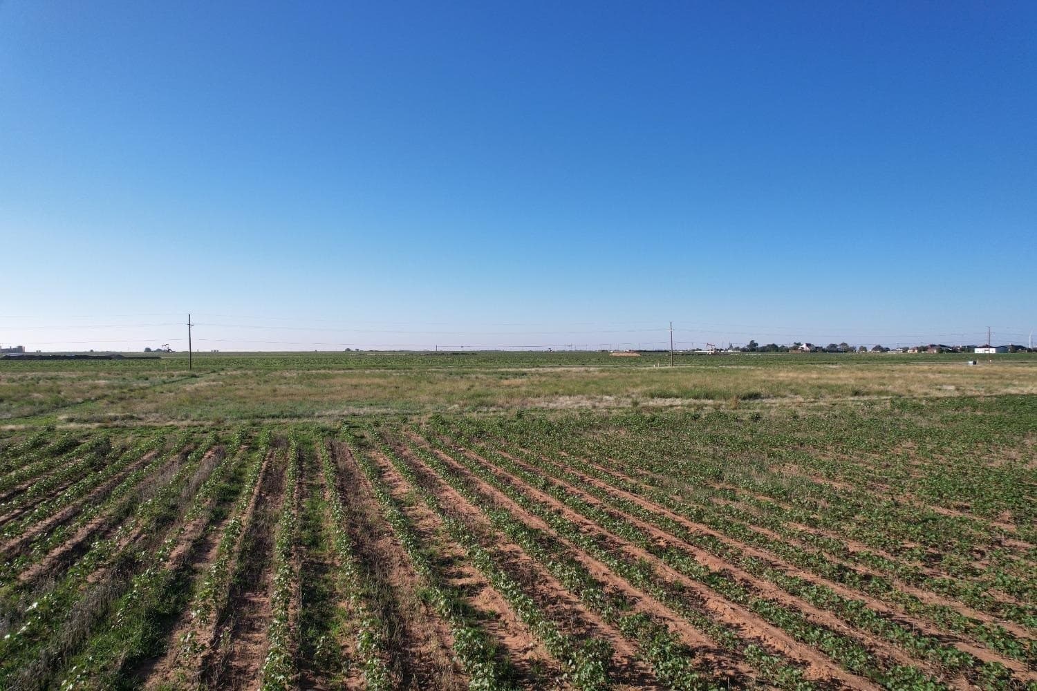 62.77 acres in Lubbock County gallery image 4