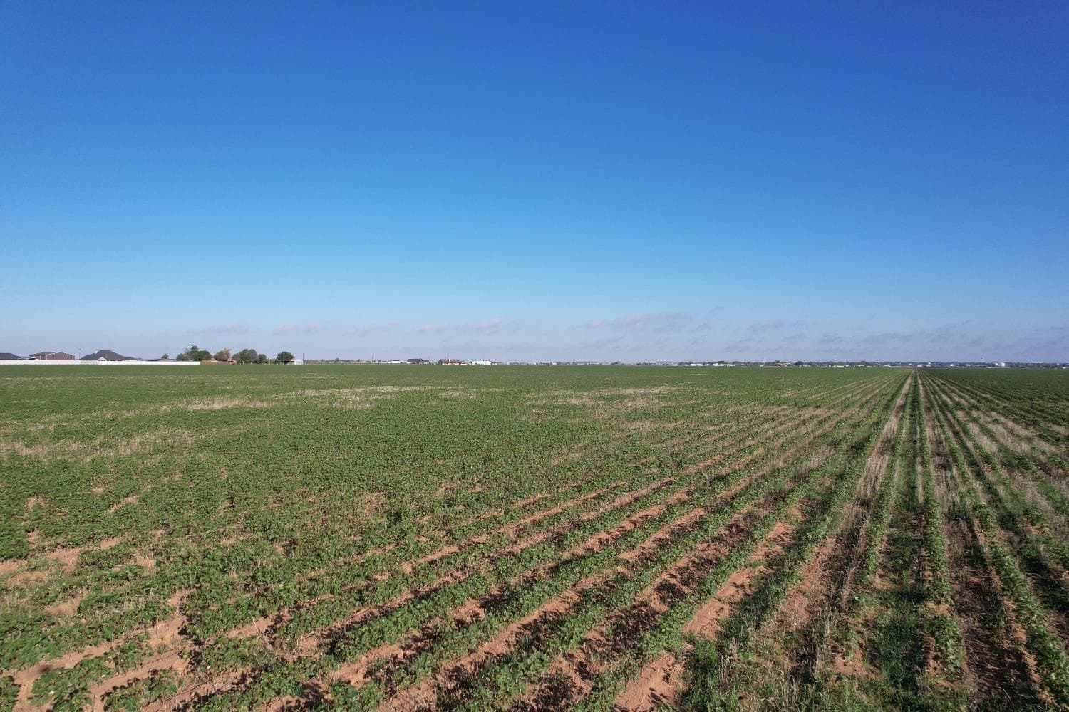 62.77 acres in Lubbock County gallery image 2