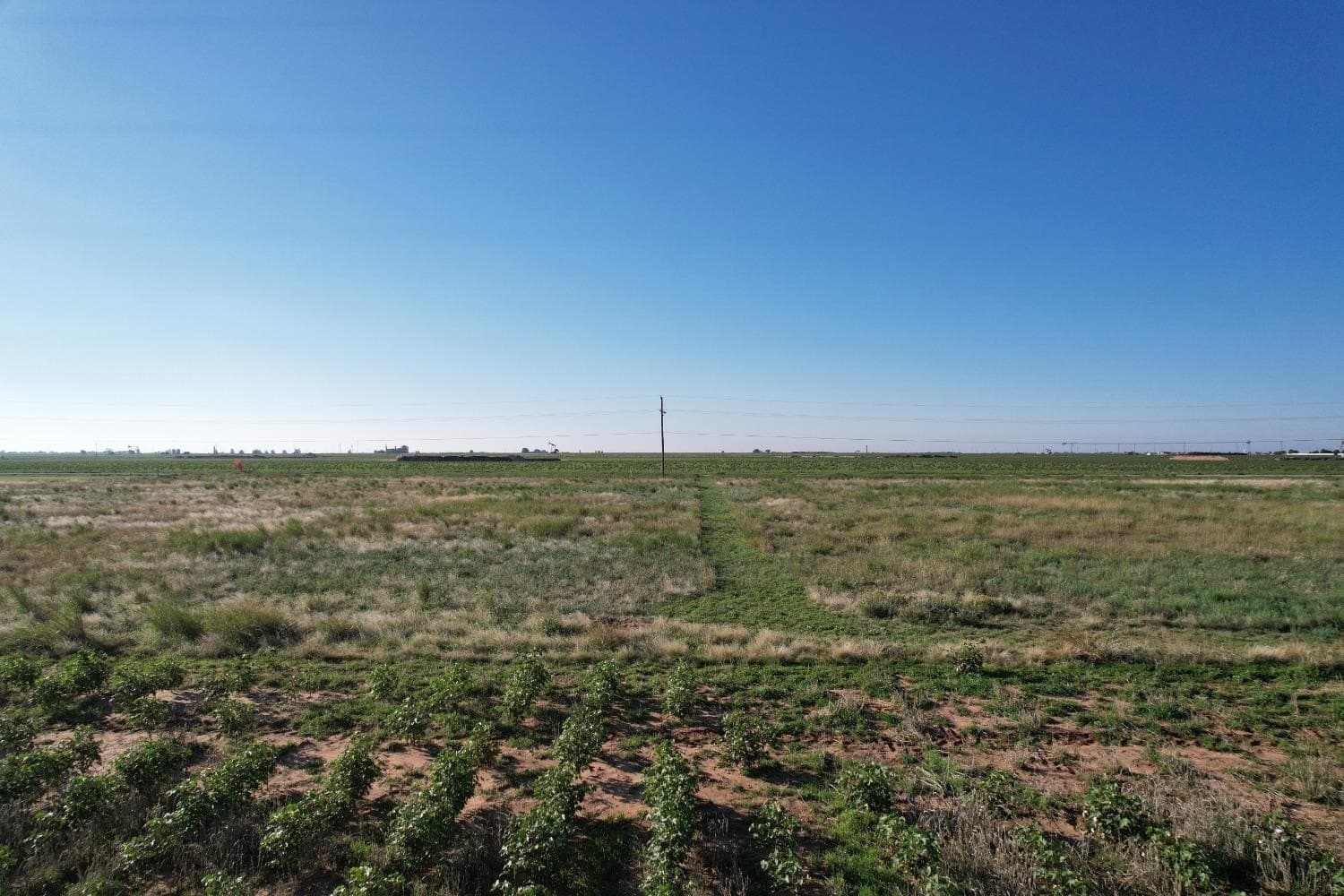 62.77 acres in Lubbock County featured view