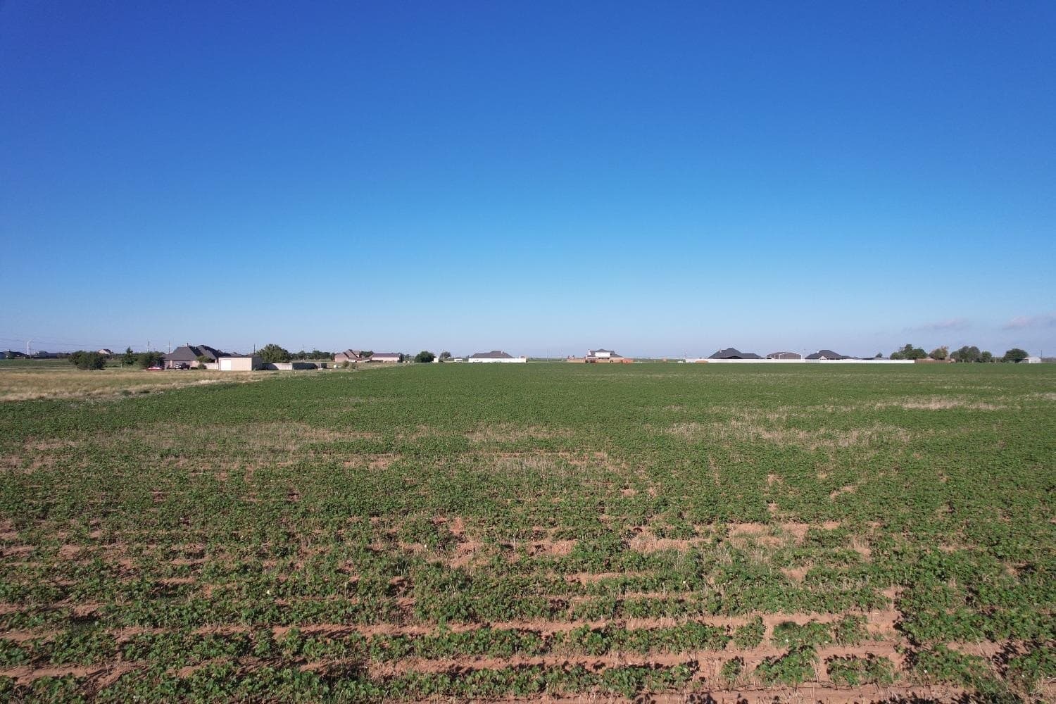 62.77 acres in Lubbock County gallery image 3