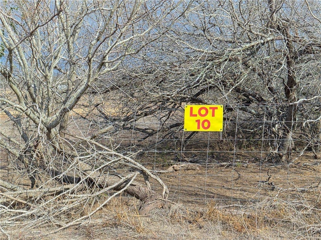 2.5 acres in Kleberg County gallery image 2