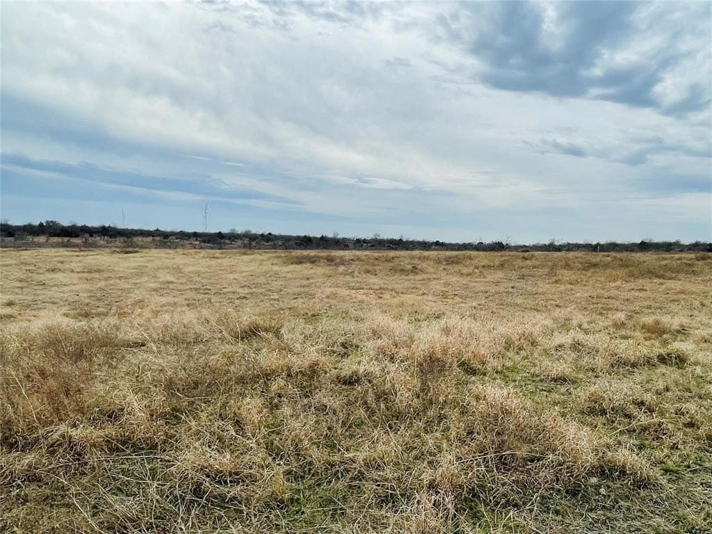 97.93 acres in Navarro County gallery image 4