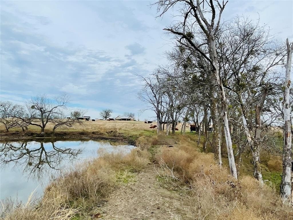 97.93 acres in Navarro County gallery image 3