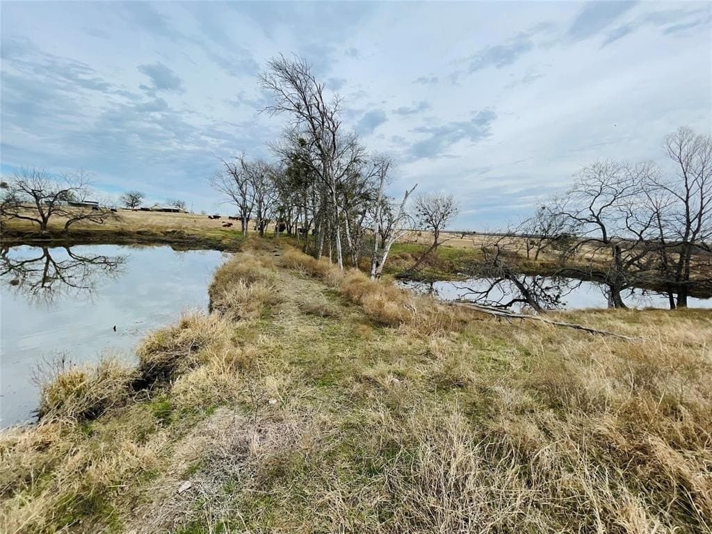97.93 acres in Navarro County featured view