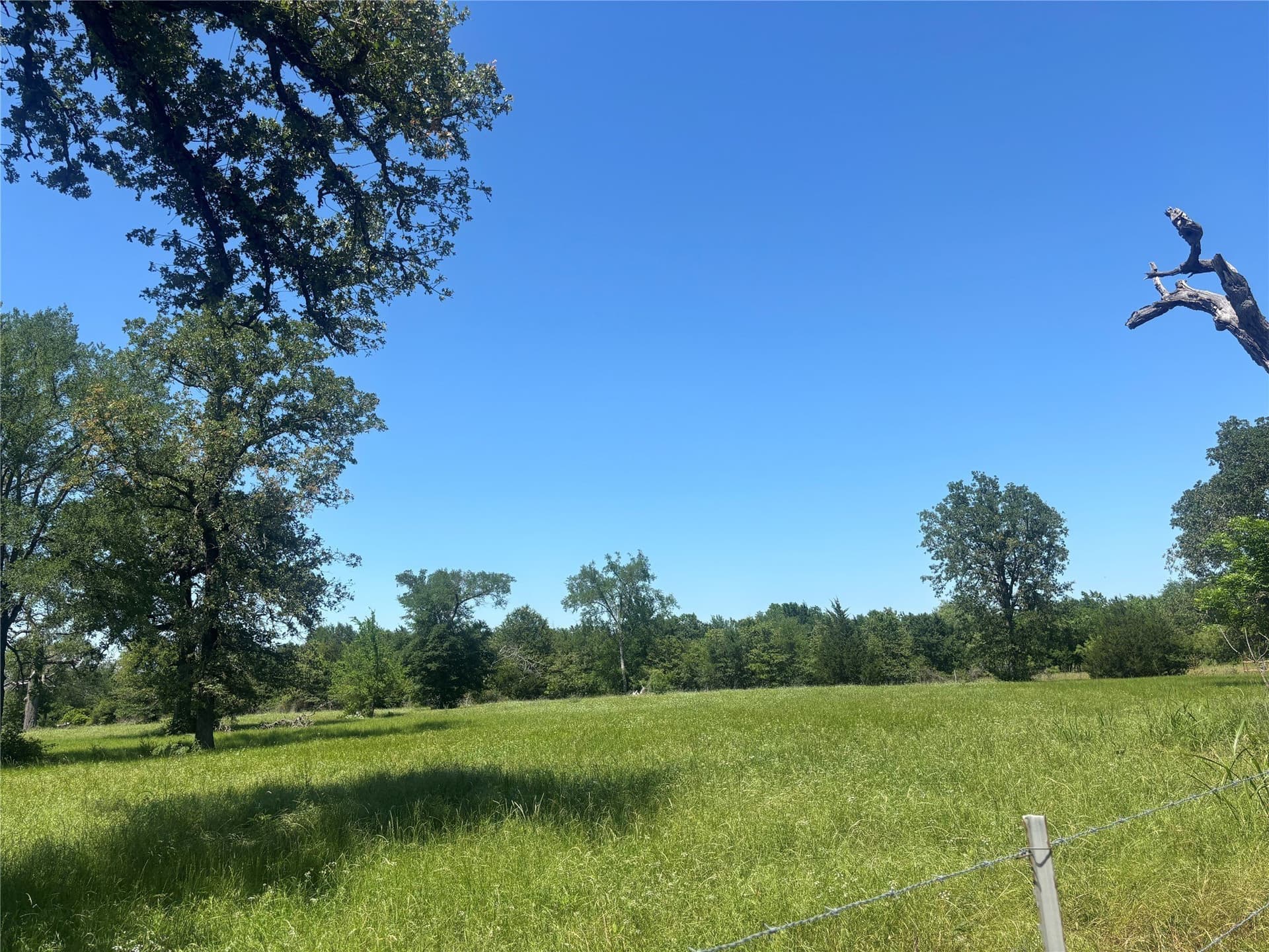 76.26 acres in Limestone County - photo 16