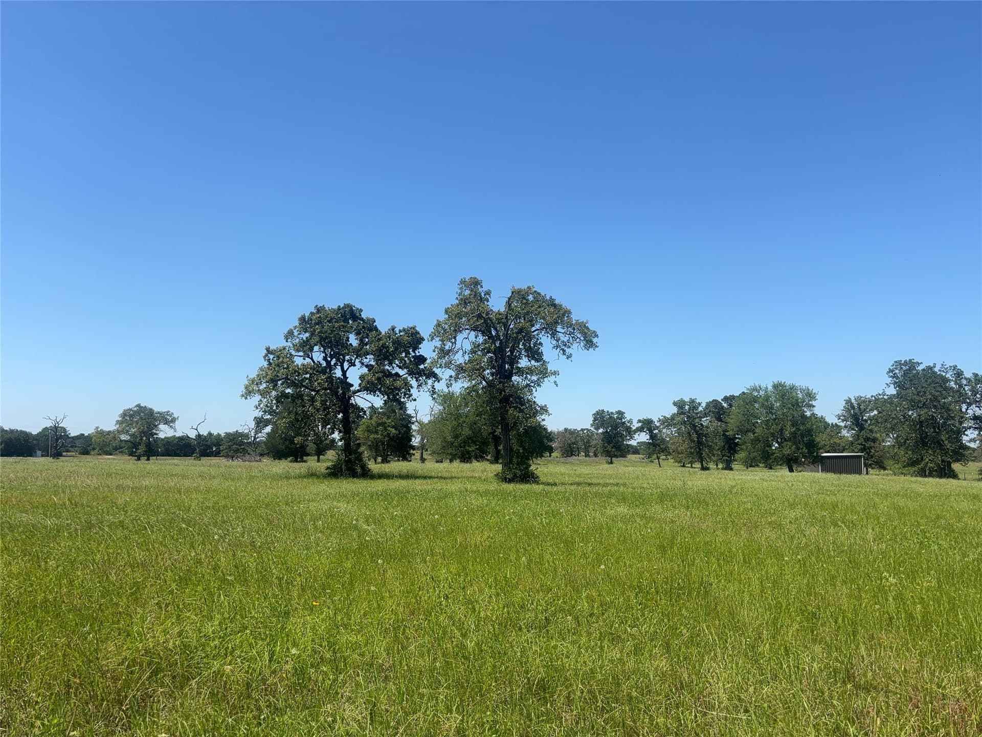 76.26 acres in Limestone County - photo 10