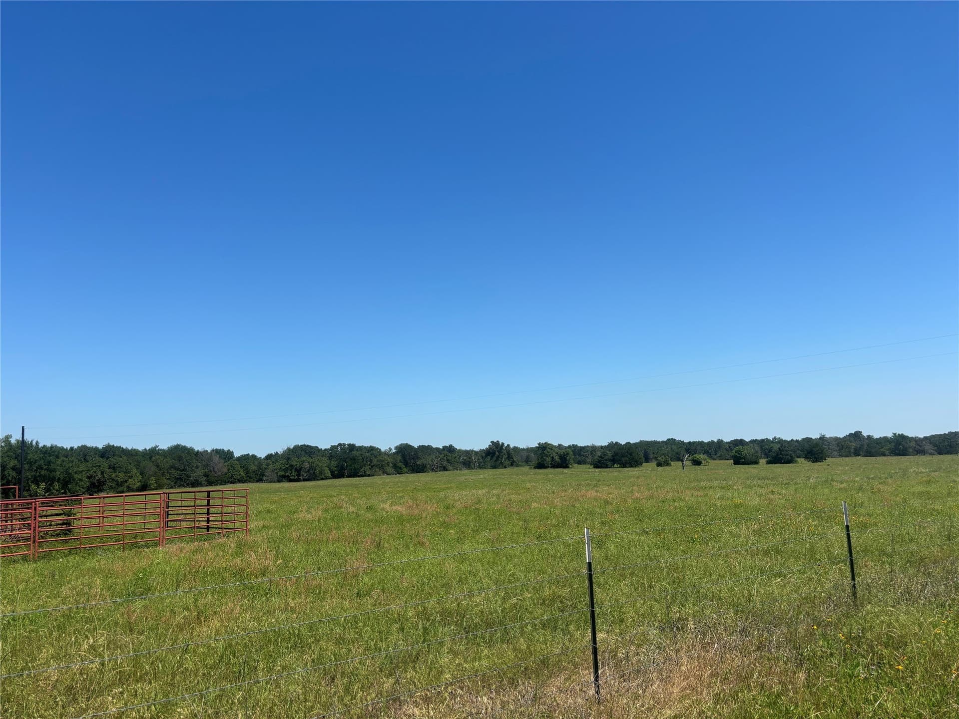 76.26 acres in Limestone County - photo 17
