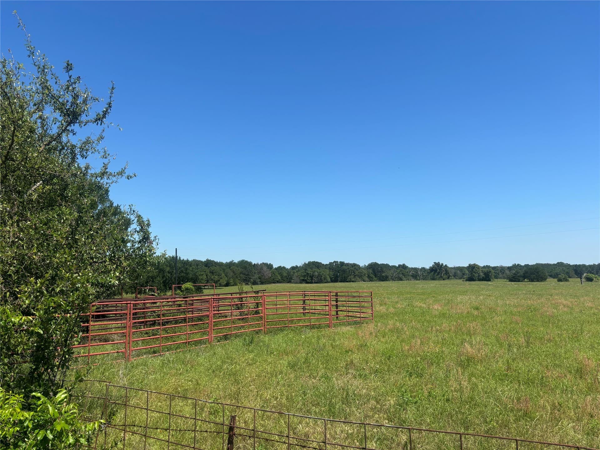 76.26 acres in Limestone County - photo 8