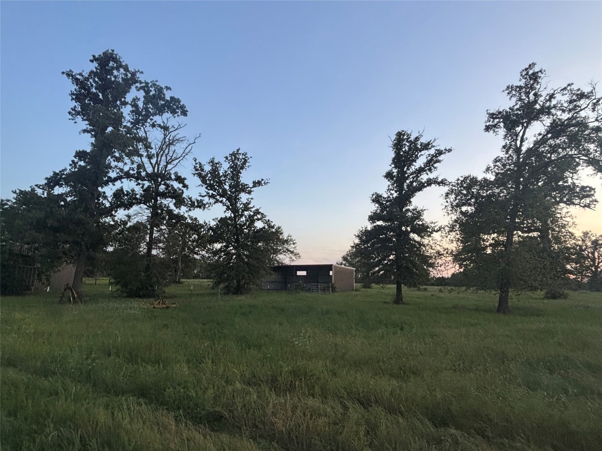 76.26 acres in Limestone County - photo 3