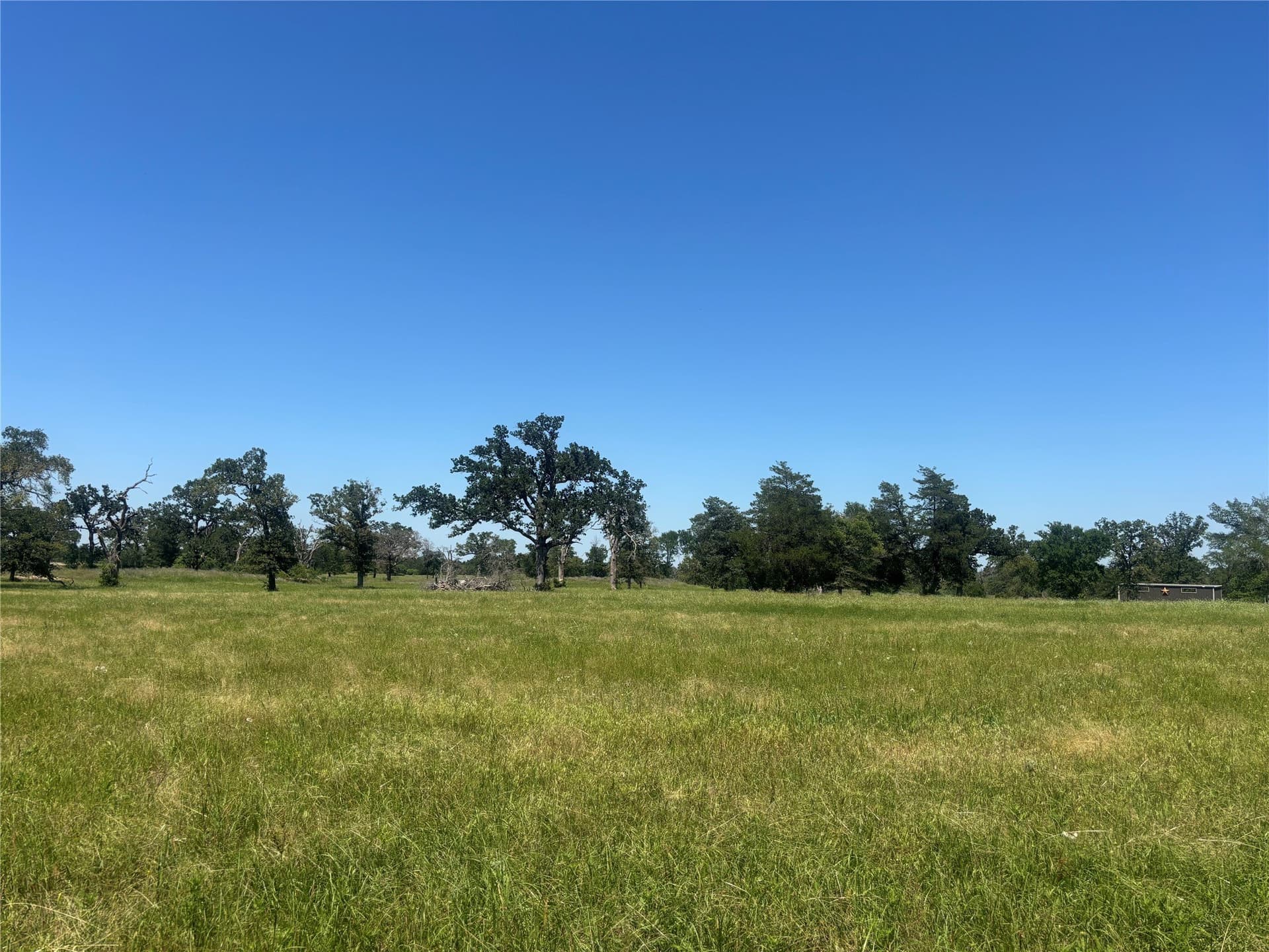 76.26 acres in Limestone County - photo 12