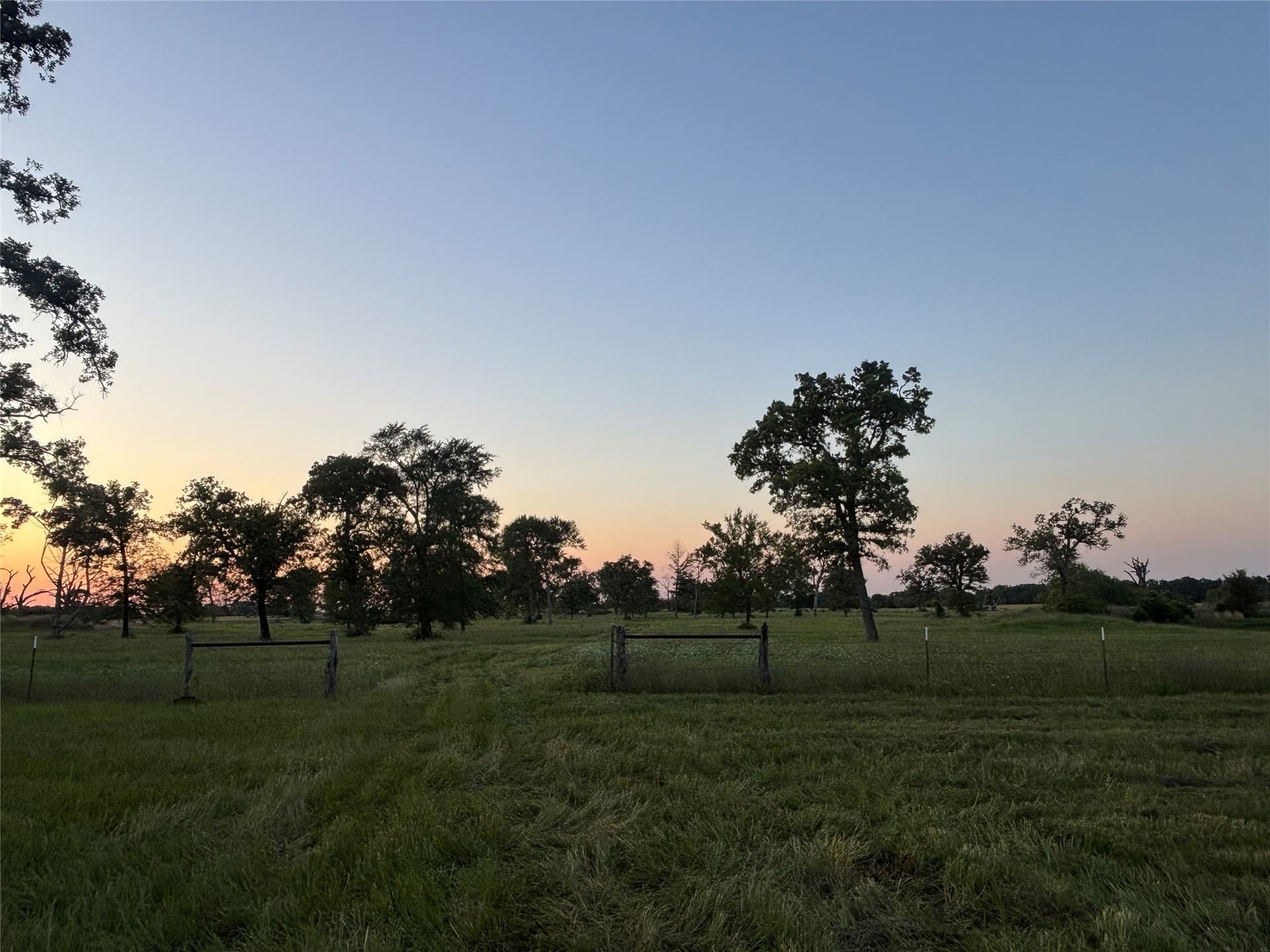 76.26 acres in Limestone County - photo 2