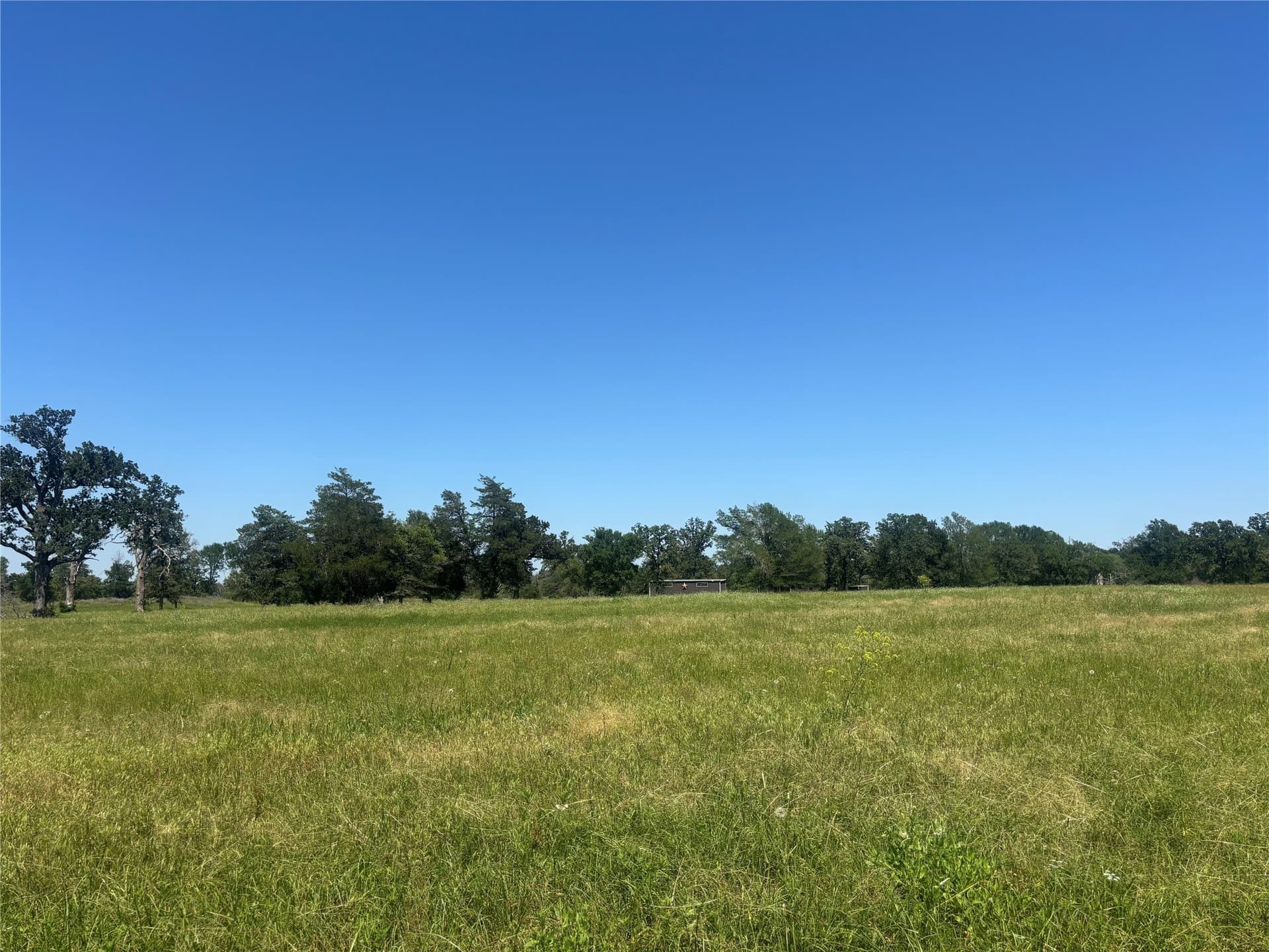 76.26 acres in Limestone County - photo 11