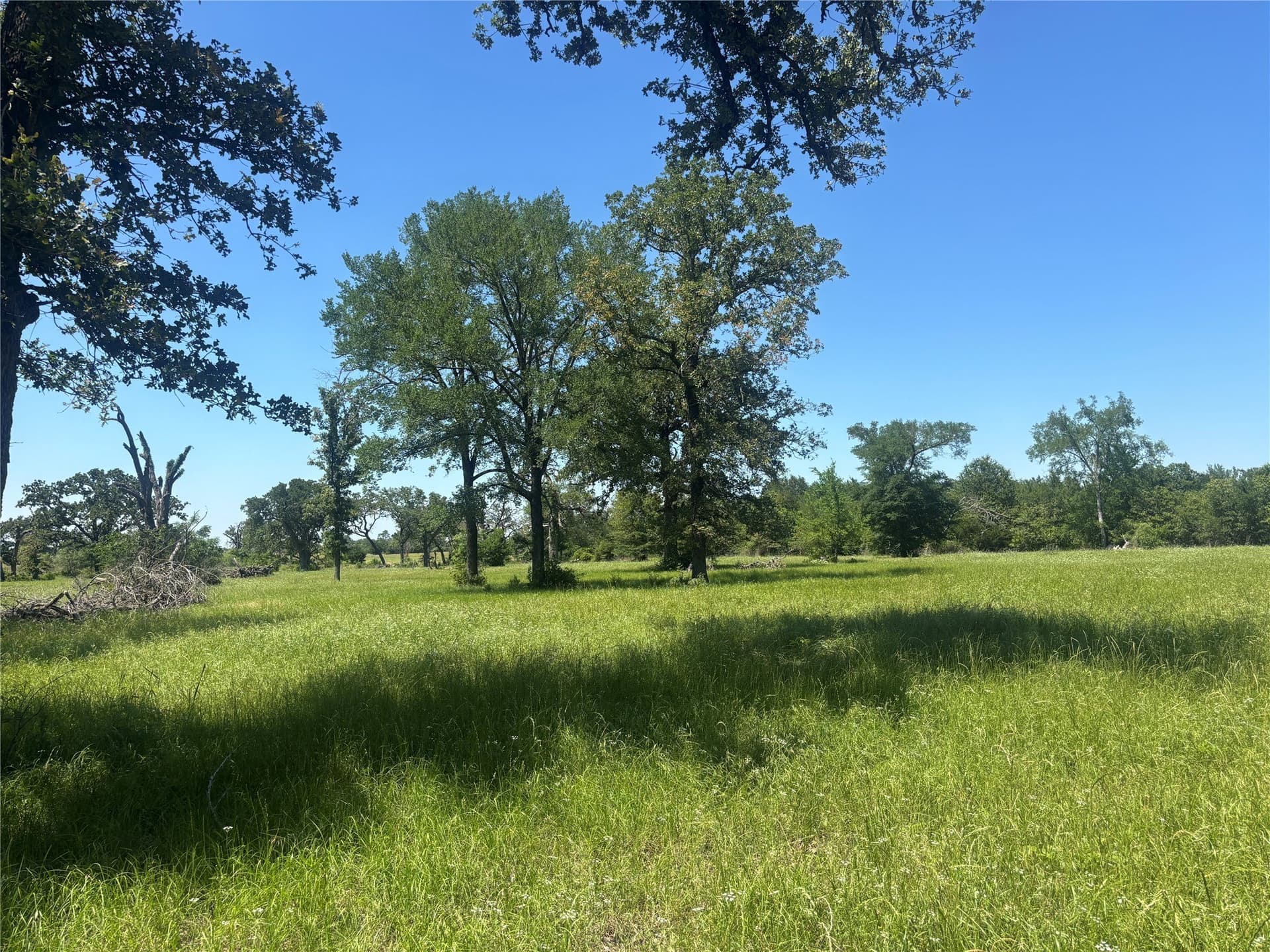 76.26 acres in Limestone County - photo 4