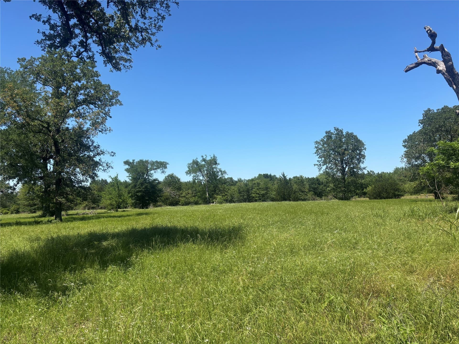 76.26 acres in Limestone County - photo 14