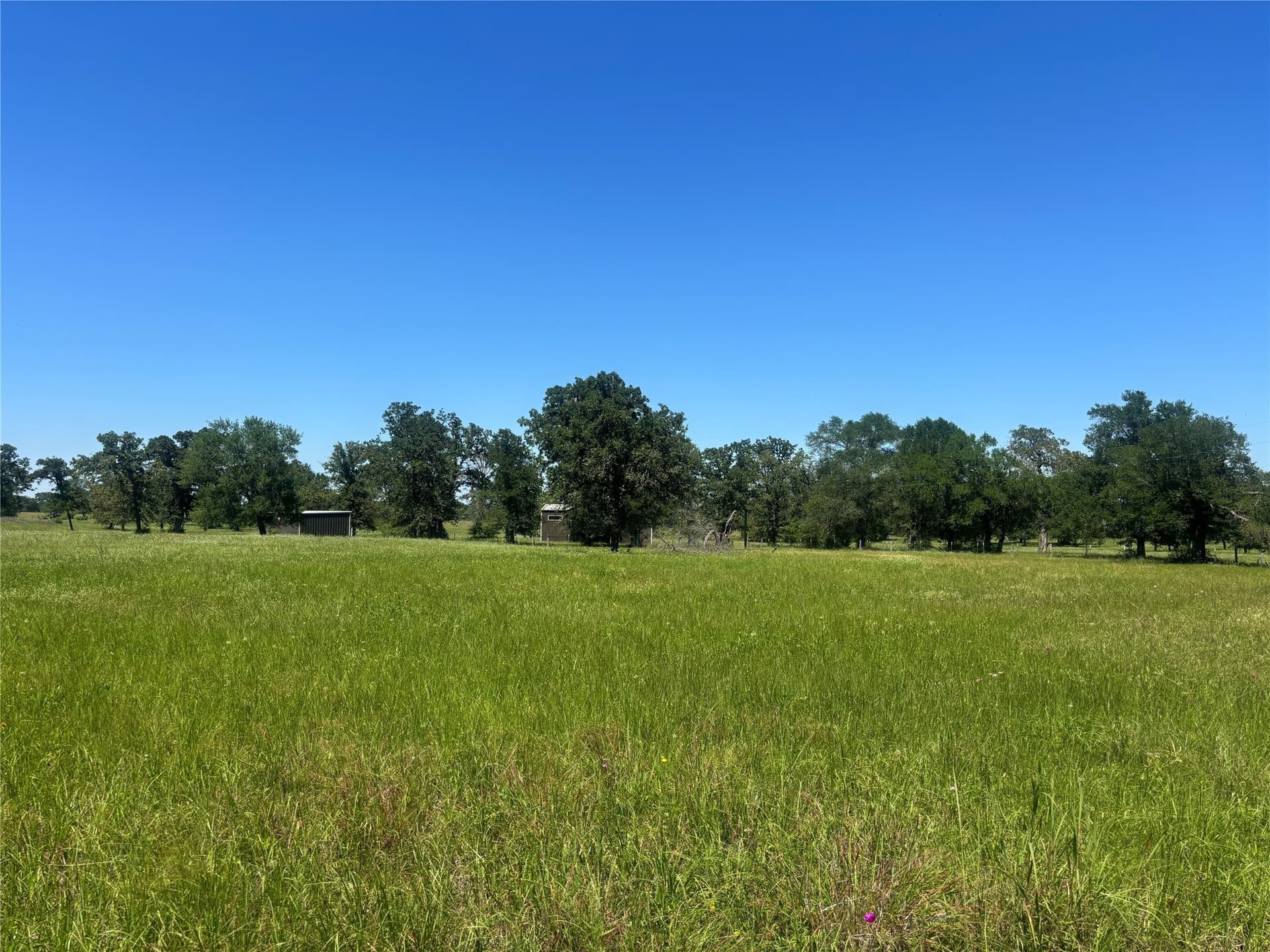 76.26 acres in Limestone County - photo 13