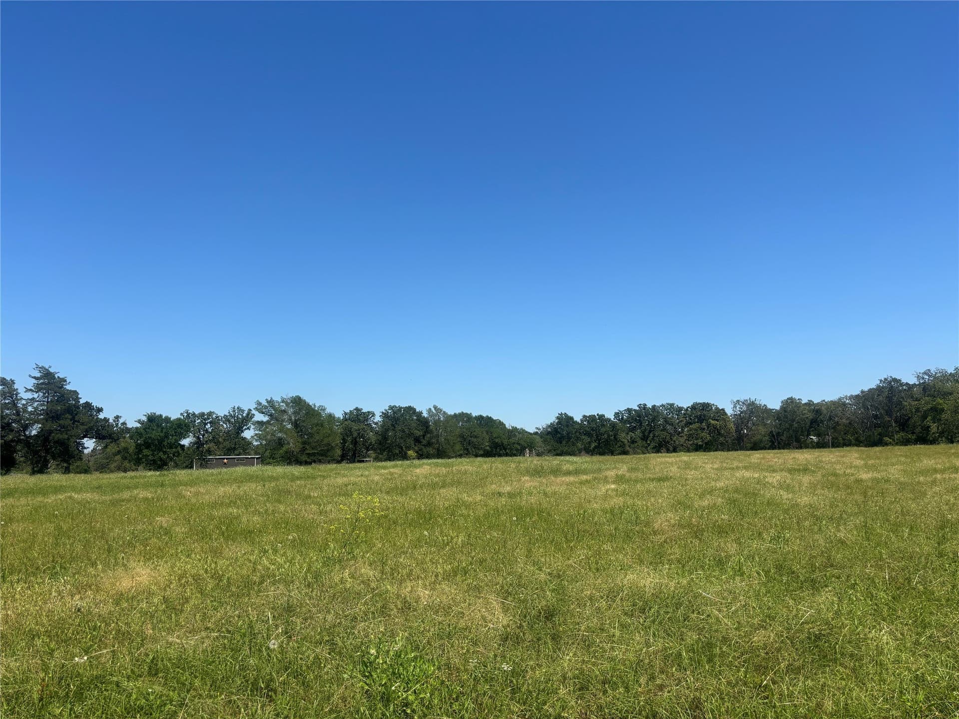 76.26 acres in Limestone County - photo 9